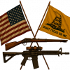 American flag, Gadsden flag, AR-15 rifle, and Revolutionary War musket illustration – JURGEN'S CODE